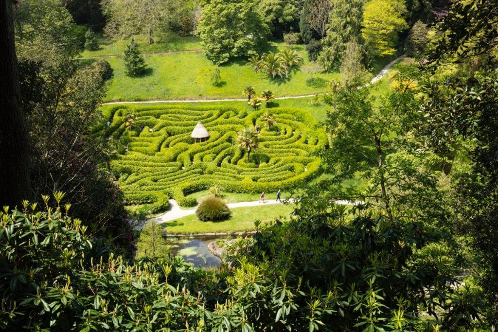 Glendurgan Gardens maze