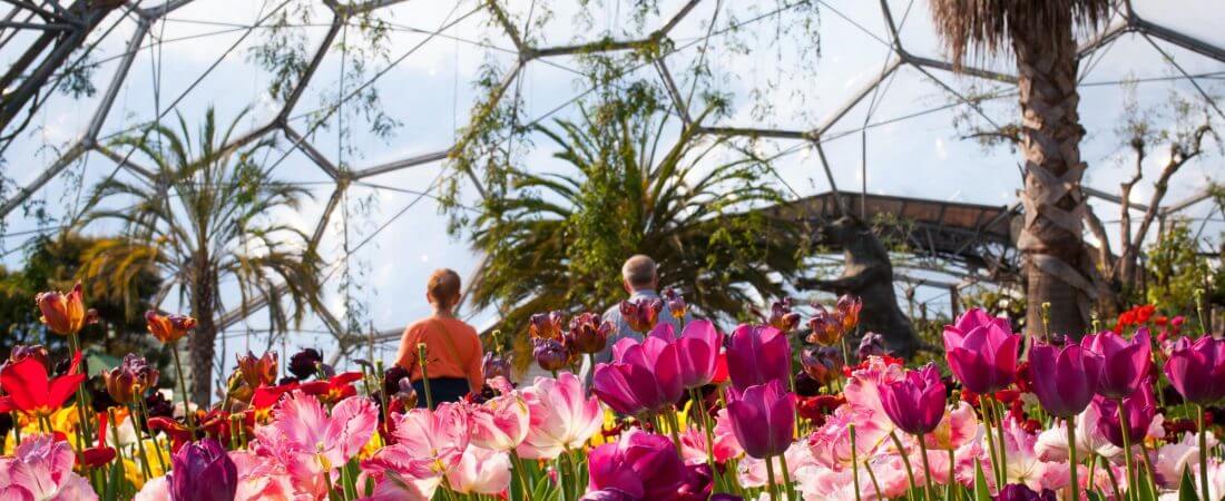 Flowers blooming at Eden
