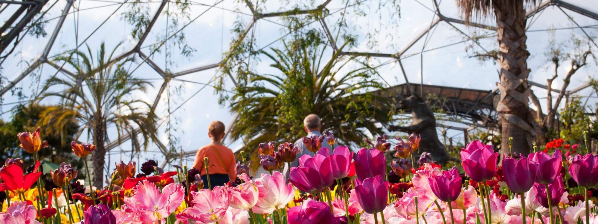 Flowers blooming at Eden