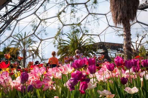 <span>持続可能性</span>