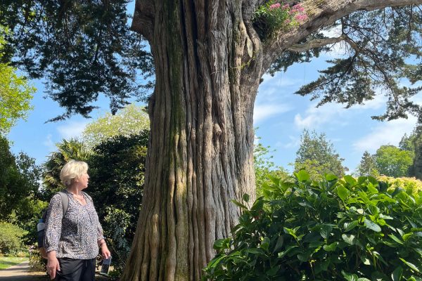 Language Experience students enjoying Cornwall's great gardens