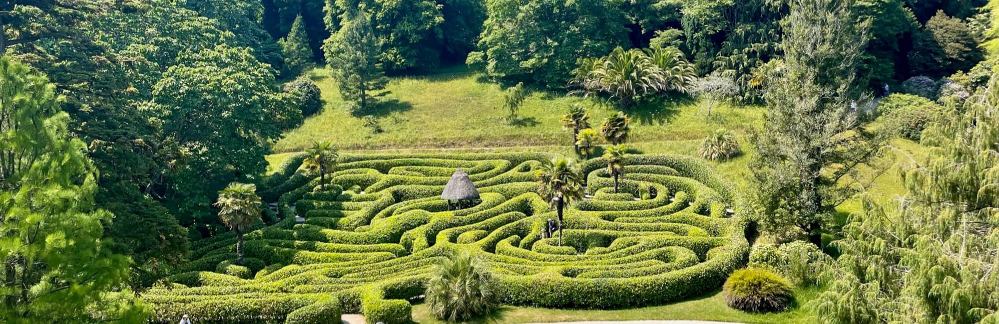 The maze at Glendurgan gardens