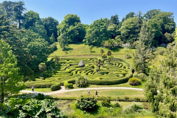 The maze at Glendurgan gardens