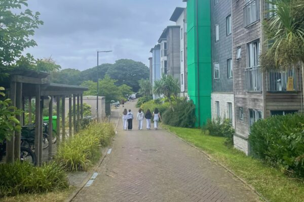 <span>宿泊</span>オプション