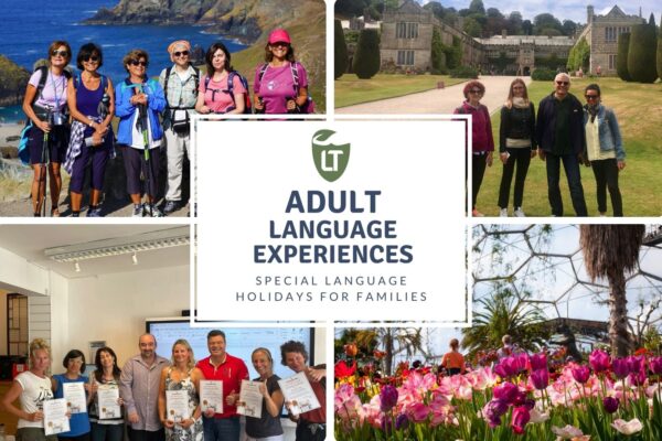 Adult Language Experiences